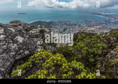 Blick auf Kapstadt vom Tafelberg, Südafrika Stockfoto
