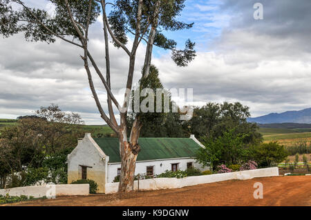 Beaulieu Winery, Bots, die Walker Bay, Südafrika Stockfoto