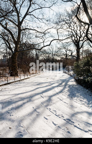 New Yorks Central Park während des Winterschneefalls Stockfoto