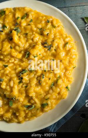 Süße hausgemachte Kürbis risotto mit Salbei und Käse Stockfoto