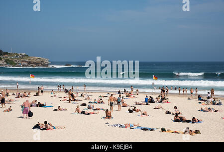 SYDNEY, NSW, Australien - NOVEMBER 21,2016: Surfen und Schwimmen zwischen den Fahnen mit Steilküste am Bondi Beach in Sydney/Australien Stockfoto