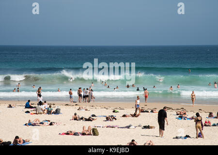 SYDNEY, NSW, Australien - NOVEMBER 21,2016: Surfer, Schwimmer und Sonnenanbeter an einem sonnigen Tag am Bondi Beach in Sydney/Australien Stockfoto