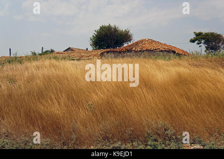 Einsame farm house auf Tyulenovo Klippen über Schwarzes Meer in Bulgarien - goldene Körner so hoch wie roten Dach einer Hütte Stockfoto