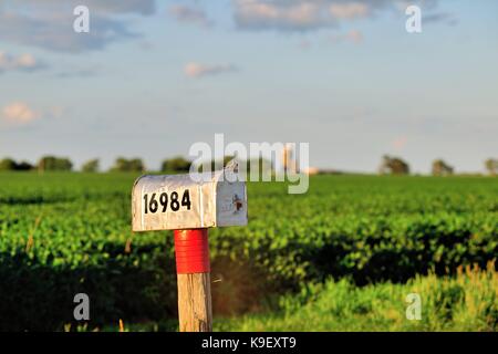 Eine isolierte und einsame Mailbox entlang einer ländlichen Straße in Illinois Bauernhof Land, in der Nähe der Sandwichpaneele, Illinois, USA. Stockfoto