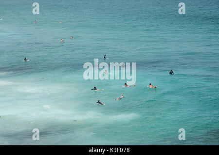 SYDNEY, NSW, Australien - NOVEMBER 21,2016: Surfer schwimmend auf Surfboards im Pazifischen Ozean am Bondi Beach in Sydney/Australien Stockfoto