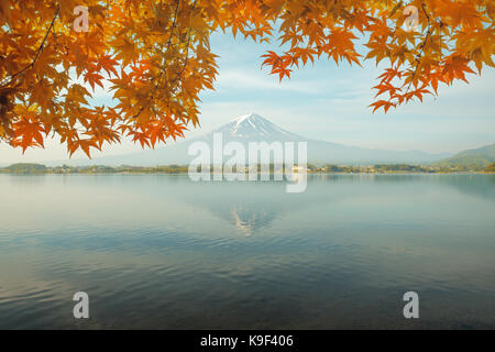 Herbst-Saison und Berg Fuji morgens mit roten Blätter Ahorn an Kawaguchi-See in Japan. Herbstsaison in Japan. Stockfoto