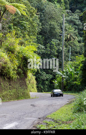 St. Lucia. Küstenstraße im Regenwald zwischen Anse La Raye und Soufriere. Stockfoto