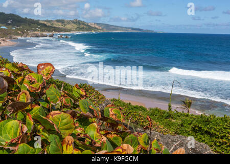 Barbados. Östlichen Ufer, Blick auf den Atlantik von Batseba. Stockfoto