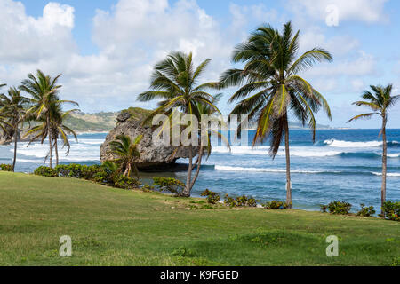 Barbados. Bathsheba Beach Szene, Atlantik. Stockfoto