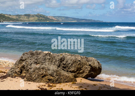 Barbados. Bathsheba Beach Szene, Atlantik. Stockfoto