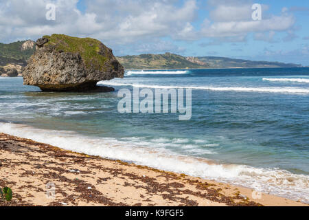 Barbados. Bathsheba Beach Szene, Atlantik. Stockfoto