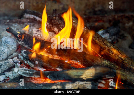 Feuer im Kamin. In der Nähe von Hot red fire aus Kohle in Zentral- Heizung Herd. brennen Feuer Holz Stockfoto