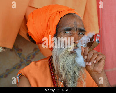 Alte sadhu mit Furcht bun- und orange headwrap rauchen Haschisch (Marihuana) in einem Chillum pipe Stockfoto