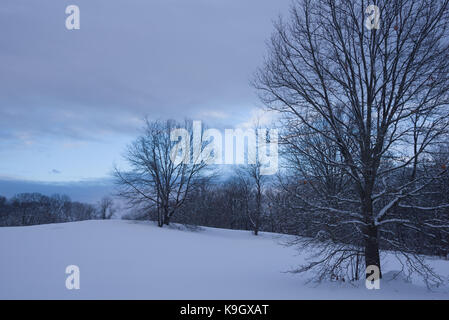 Rock Wiese Naturschutzgebiet in Belmont, MA in der Dämmerung Stockfoto