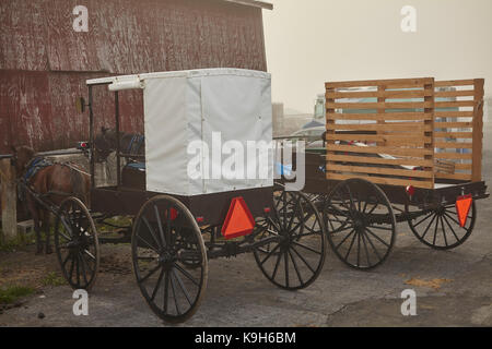 Weiß Nebraska Amish Buggies bei der wöchentlichen Auktion in Belleville, Big Valley, Pennsylvania. Die Nebraska Amish gehören zu den strengsten der Amish Sekten. Stockfoto