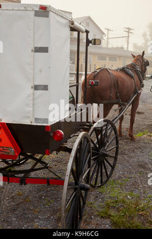 Weiß Nebraska Amish Buggies bei der wöchentlichen Auktion in Belleville, Big Valley, Pennsylvania. Die Nebraska Amish gehören zu den strengsten der Amish Sekten. Stockfoto