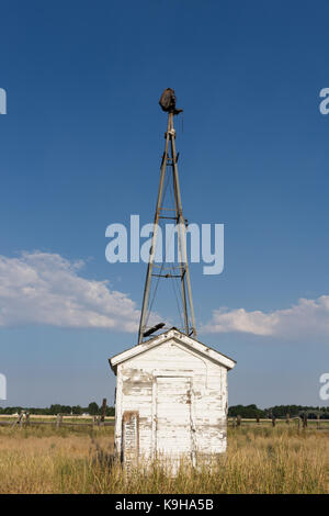 Vor einer Pumpe Haus mit abgebrochenen und abblätternde Farbe und die Überreste einer Metallrahmen für eine Windmühle. Gras im Vordergrund steht und ein Holz Zaun in Stockfoto