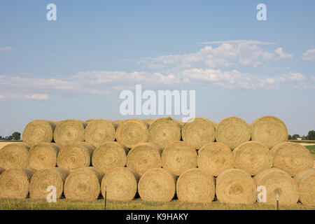 Gestapelte runde Heuballen auf einem Feld mit blauem Himmel und zerstreute Wolken über. Stockfoto