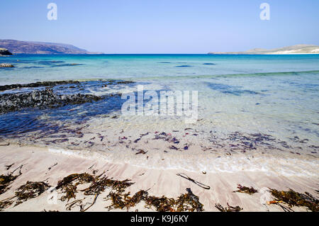 Seetang (Kelp) an den Rand des Wassers von den wunderschönen weißen Sandstrand auf balnakeil Bay, Durness, Sutherland, Schottische Highlands, auf einem ruhigen sonnigen Tag. Stockfoto