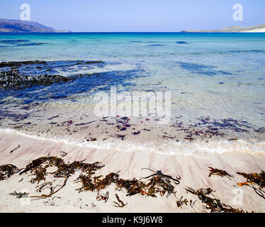 Seetang (Kelp) an den Rand des Wassers von den wunderschönen weißen Sandstrand auf balnakeil Bay, Durness, Sutherland, Schottische Highlands, auf einem ruhigen sonnigen Tag. Stockfoto