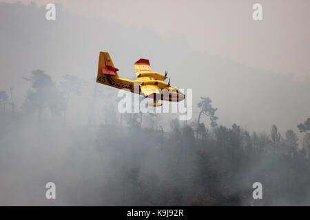 Menton, Frankreich - 9. September 2015: Canadair CL-415 (Bombardier 415 Superscooper) Flugzeug löschen Wald in Flammen in Menton, Côte d'Azur Stockfoto