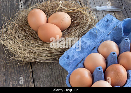 Eier im Nest und Pappe Stockfoto