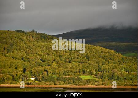 Snowdonia National Park, Samstag 23 September 2017 UK Wetter: Herbstfarben in der Dyfi Tal, Snowdonia National Park, North Wales, an einem hellen, sonnigen und warmen September morgen Credit: Keith Morris/Alamy leben Nachrichten Stockfoto