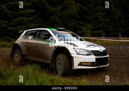 Omagh, Nordirland. 23 Sep, 2017 Demi Henry und Liam Moynihan wurden in die totale Kontrolle über die 2017 BushWhacker Rally und gewann mit 27 Sekunden von Jonathan Greer und Kirsty Riddick. Foto von Graham Service Credit: Graham Service/Alamy leben Nachrichten Stockfoto