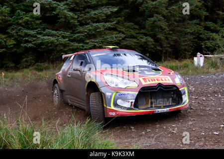 Omagh, Nordirland. 23 Sep, 2017 Jonathan Greer und Kirsty Riddick steuerte ihren Citroen DS3 R5 auf den zweiten Platz in der Gesamtwertung auf dem 2017 Bushwacker Rallye. Foto von Graham Service Credit: Graham Service/Alamy leben Nachrichten Stockfoto