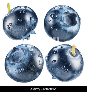 Vier Blaubeeren in verschiedenen (Winkel) mit Wassertropfen. Makroaufnahme. Beschneidungspfade für jedes Element. Stockfoto