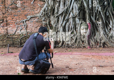 Touristen, die Fotos machen, begeben sich Buddha in banyan Tree Roots im Wat Mahathat Tempel in Ayutthaya, Thailand Stockfoto