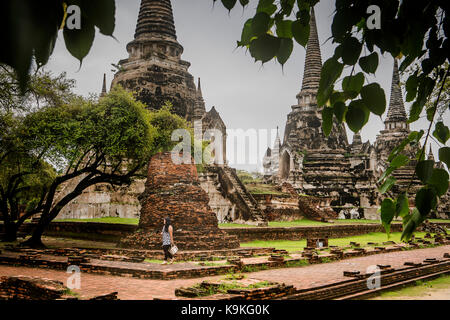 Wat Phra Si Sanphet, Ayutthaya, Thailand Stockfoto