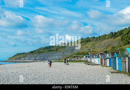 Monmouth Beach bei Lyme Regis, Küstenstadt in Dorset südlich von England Stockfoto