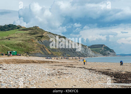 Charmouth Beach West Dorset England Stockfoto