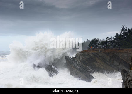 Schwillt ein Jahrzehnt Krachen gegen die Klippen von Shore Acres State Park, Coos Bay Oregon Stockfoto