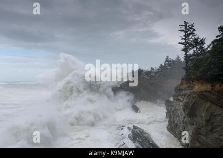 Schwillt ein Jahrzehnt Krachen gegen die Klippen von Shore Acres State Park, Coos Bay Oregon Stockfoto