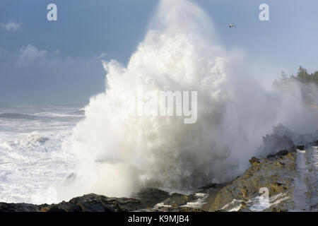 Schwillt ein Jahrzehnt Krachen gegen die Klippen von Shore Acres State Park, Coos Bay Oregon Stockfoto