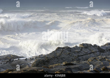 Schwillt ein Jahrzehnt Krachen gegen die Klippen von Shore Acres State Park, Coos Bay Oregon Stockfoto