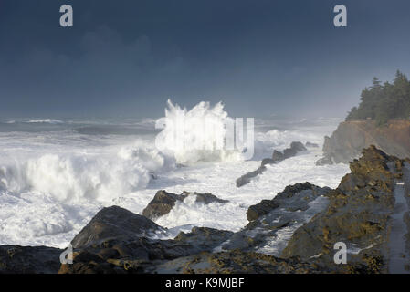 Schwillt ein Jahrzehnt Krachen gegen die Klippen von Shore Acres State Park, Coos Bay Oregon Stockfoto