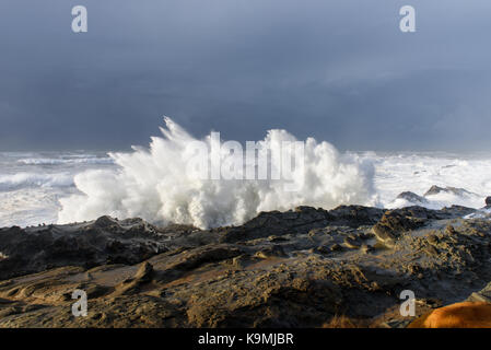 Schwillt ein Jahrzehnt Krachen gegen die Klippen von Shore Acres State Park, Coos Bay Oregon Stockfoto