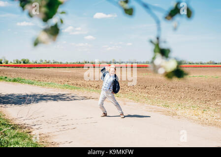 Sachsen-Anhalt, Deutschland, Tulpenfelder, Tulpen, Blumen, Landwirtschaft, Magdeburger Börde, Schwaneberg, Tulipa, Liliaceae Stockfoto