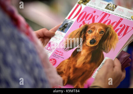 Eine Frau oder Frau mit einem Hunde oder Haustiere Zeitschrift in einem zeitschriftenladen shop Hunde heute Zeitschrift und wählen eine Zeitschrift in den Store oder Shop zu lesen Stockfoto