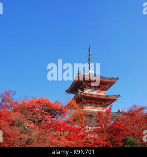 Die Pagode am Kiyomizu-dera Tempel mit bunten rote Blätter Stockfoto