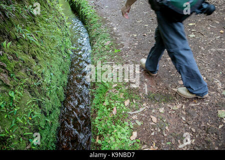 Levada do Caldeiro Verde, Madeira, Portugal Stockfoto