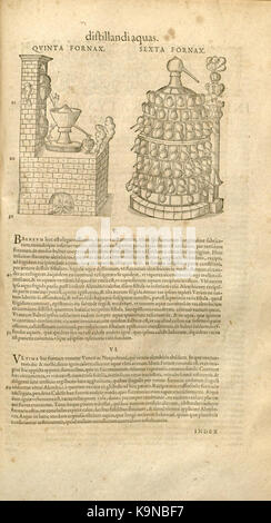 Petri Andreae Matthioli... Opera quae extant Omnia, Hoc est, Commentarii in VI Pedacii Dioscoridis Anazarbei libros De medica materia BHL 7471331 Stockfoto