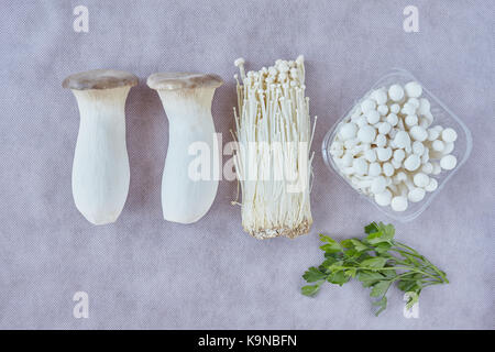 König Trompete Pilz, auch genannt Horn Pilz (Pleurotus eryngii), enokitake oder enoki (Flammulina velutipes) und Weiß shimeji Pilze (Hy Stockfoto