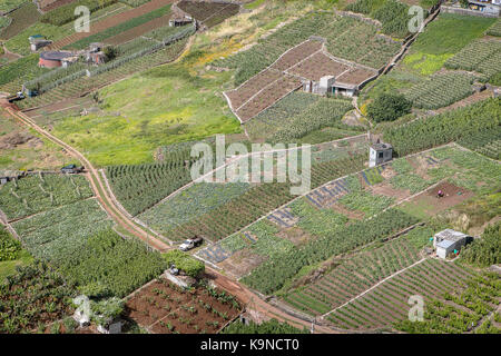 Landwirtschaftliche Landschaft, um Camara de Lobos, Madeira, Portugal Stockfoto