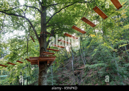 Hängende Trail im Dickicht eines Berges Wald in der Morgensonne. Stockfoto