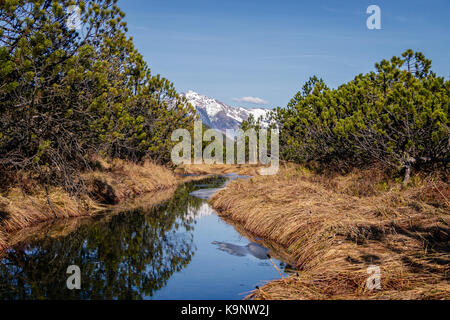 Die schöne Umgebung im Kleinwalsertal in Österreich bei Oberstdorf Stockfoto