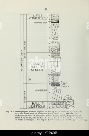 Pennsylvanian conodont Assemblagen von La Salle County, Nördliche Krank (Seite 16) BHL 40002231 Stockfoto